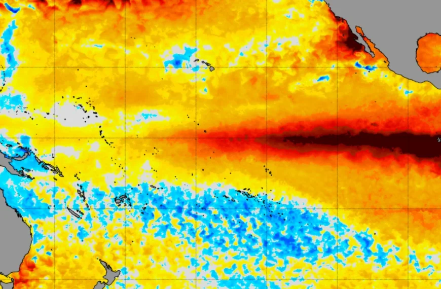 NOAA-coral-reef-watch-5km-sst