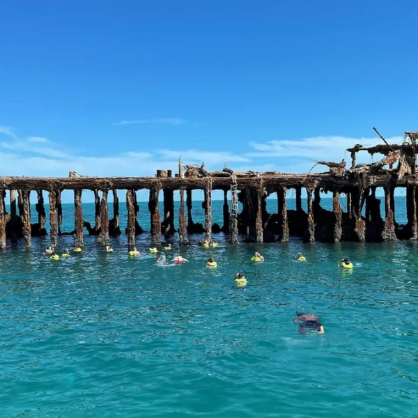 Snorkelers in Sapono Shipwreck in Bimni Bahamas