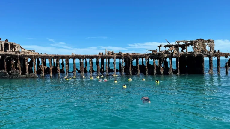 Snorkelers in Sapono Shipwreck in Bimni Bahamas