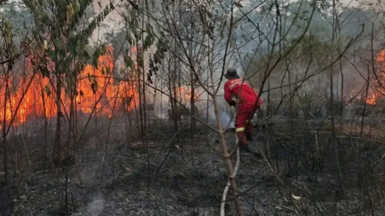 Wildfire supression efforts in Sumatera Selatan, Indonesia on October 14, 2026Wildfire supression efforts in South Sumatra, Indonesia on October 14, 2026