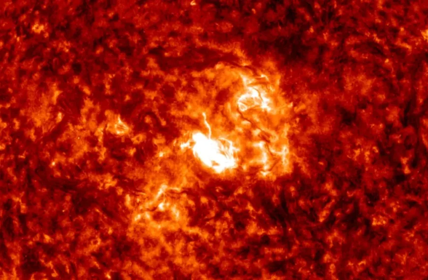 G2 geomagnetic storm forecast for October 9 as CME approaches Earth