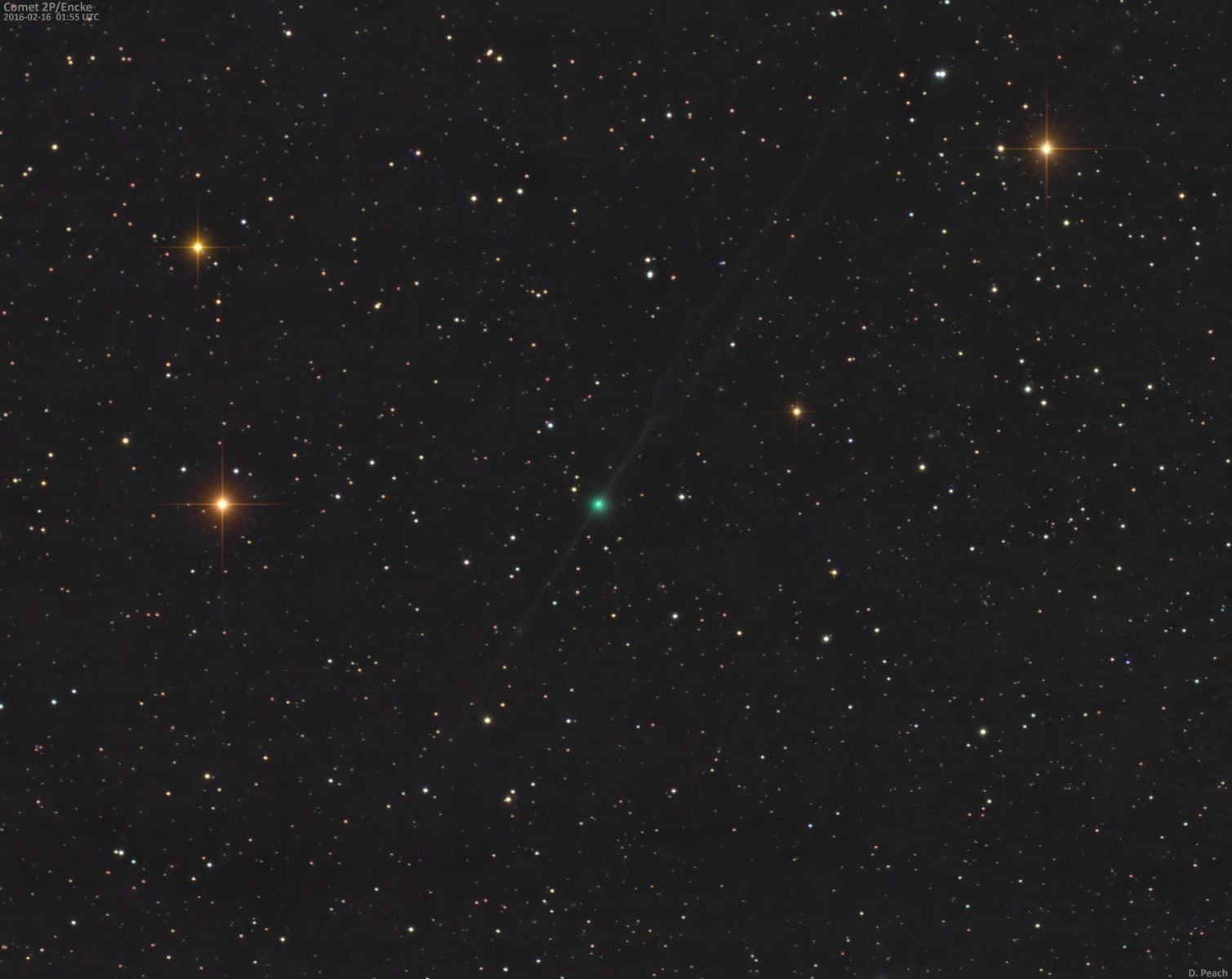 Comet 2P/Encke on February 16, 2017 by Damian Peach