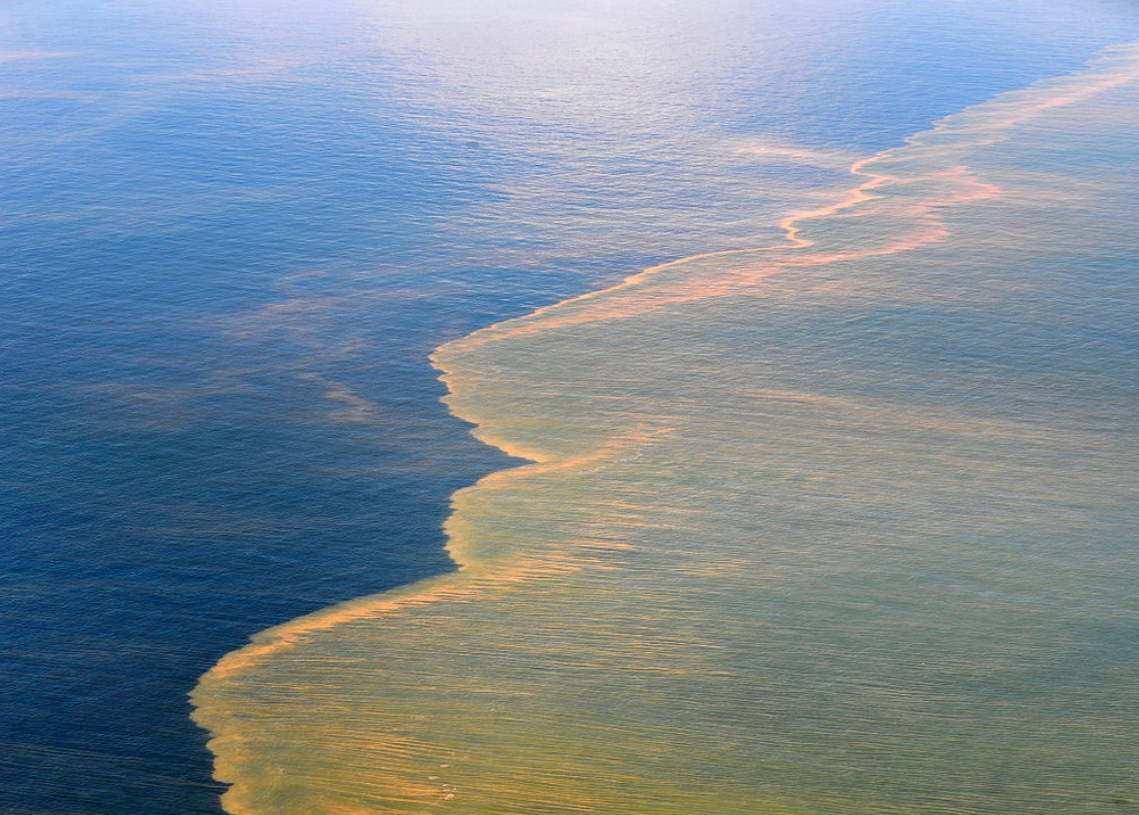 BP-oil-spill-survey-april-15-2020-4