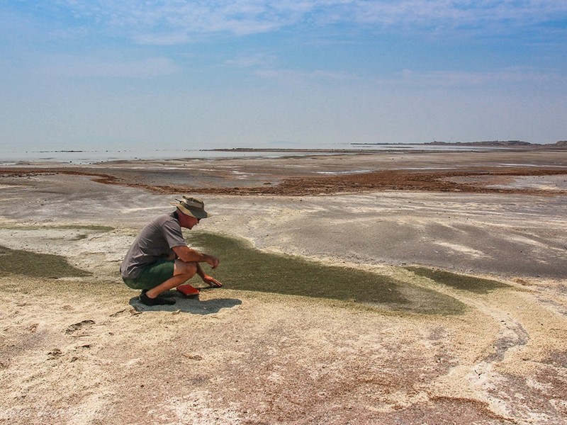 A researcher examines organisms left behind in a puddle on the drying shore of Great Salt Lake. 