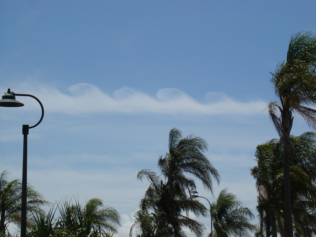Kelvin-Helmholtz waves with their classic surfer's wave shape