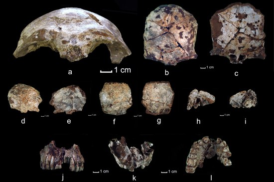Human fossils found in Tam a Ling