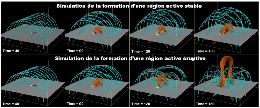Evolution of the magnetic field in two simulations of the formation of active solar regions