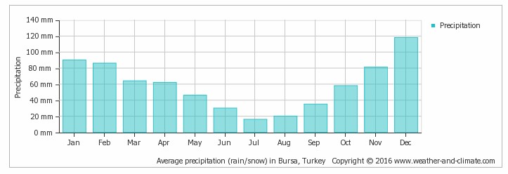 Average precipitation Istanbul region