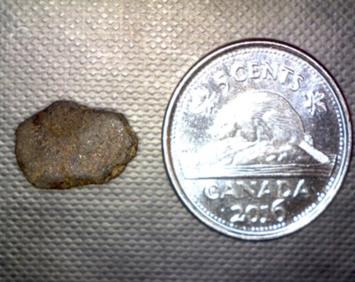 Meteorite fragment from September 5, 2017 BC fireball