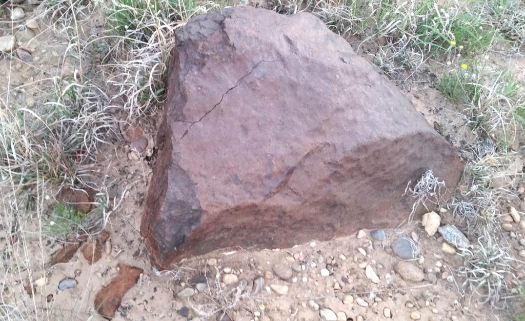 A picture of the Clarendon (c) meteorite before it was removed from the ground. Image credit: Dee Dee and Frank Hommel