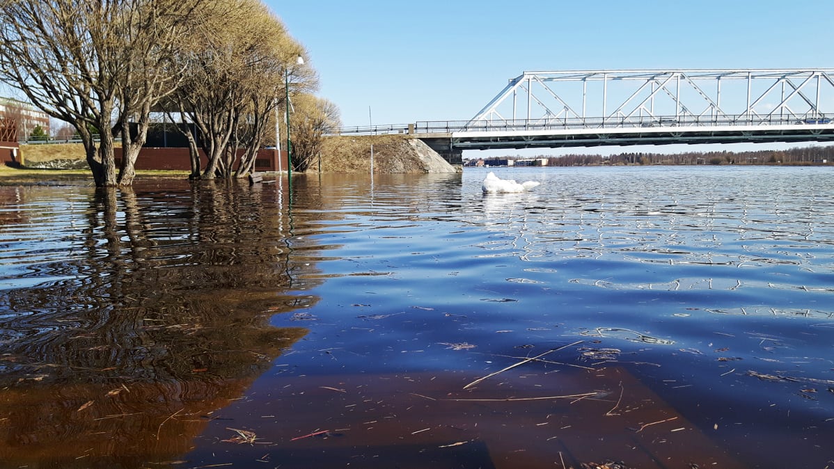 Flooding in Tornio River, May 12, 2018