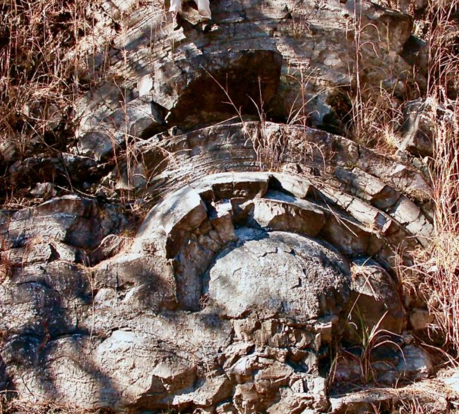 fossil-stromatolites-south-africa