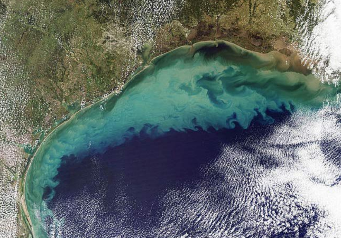 gulf-of-mexico-june-4-2020-5