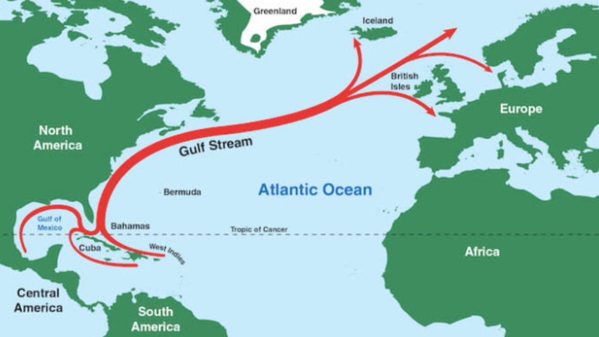 gulf-stream-migration