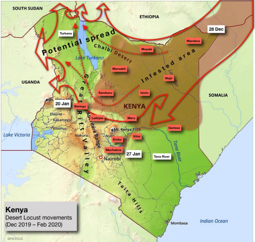 kenya-locust-jan-30-2020