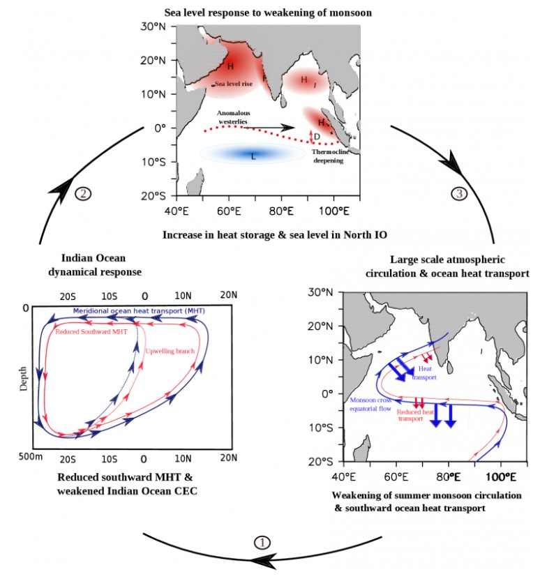 A schematic demonstrating how reduced MHT and CEC circulation influences sea level rise in the north Indian Ocean