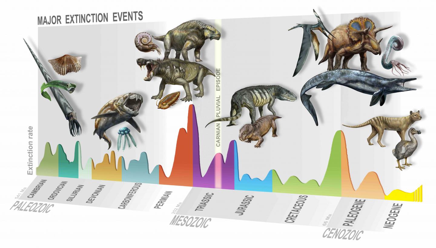 new-mass-extinction-sept-17-2020