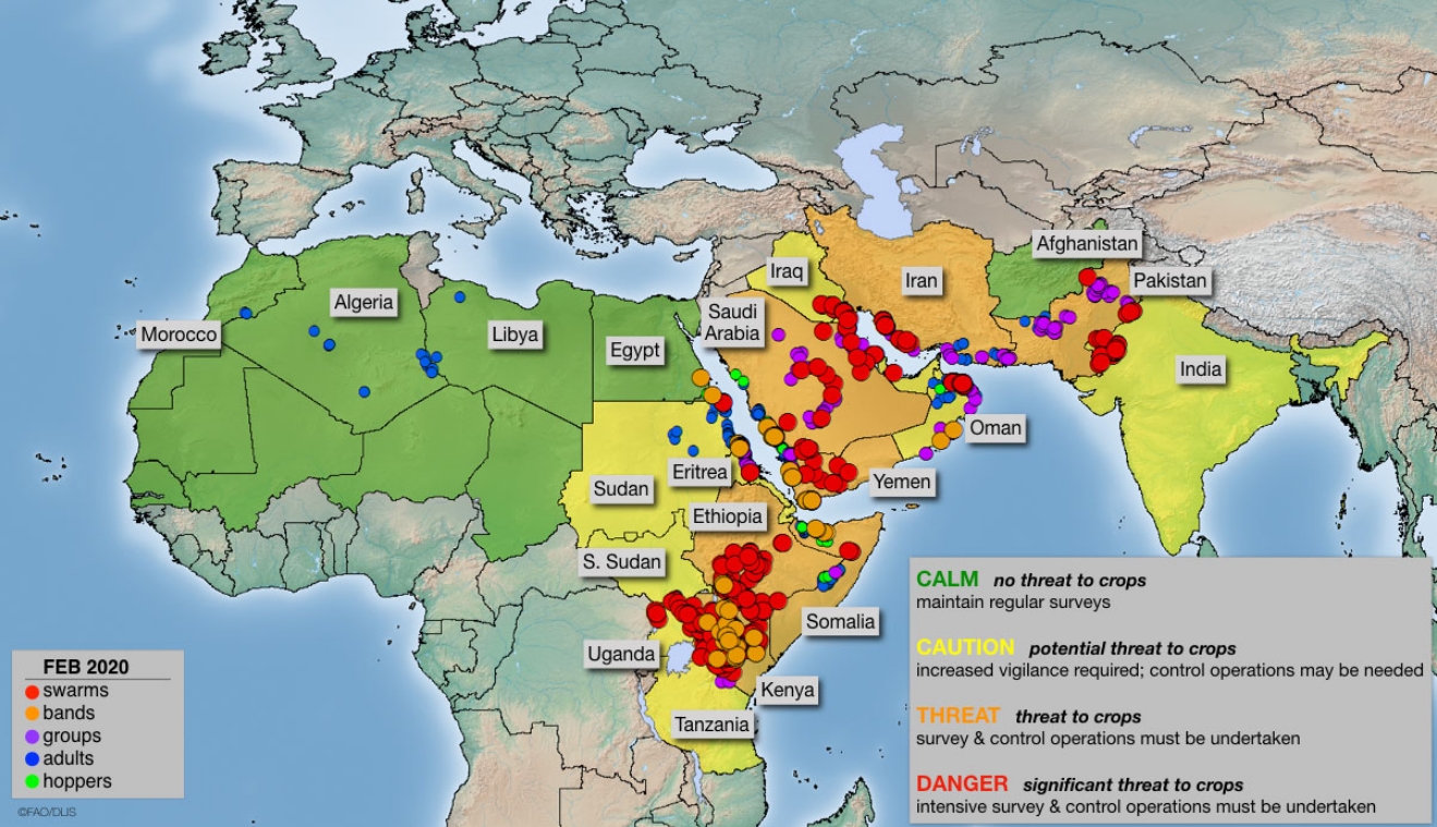risk-map-of-locust-march-18-2020