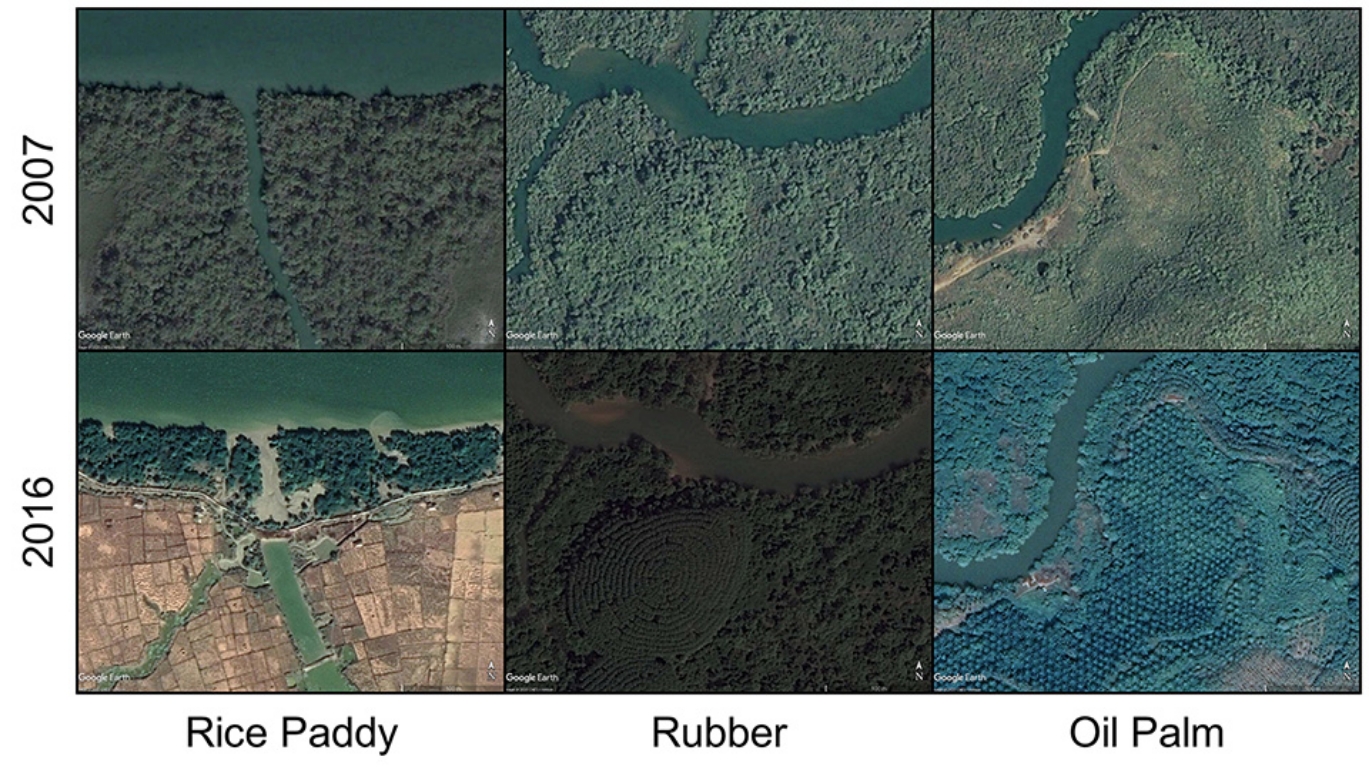 satellite-images-showing-mangrove-conversion-2007-and-2006