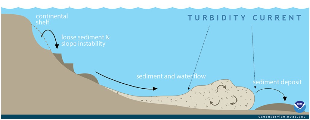 Turbidity current - flow model
