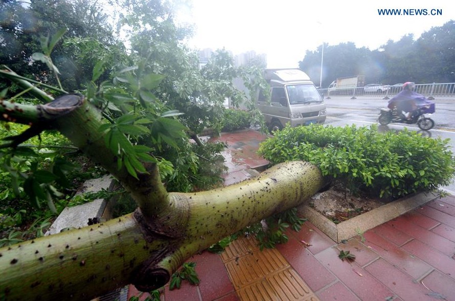 Typhoon Megi aftermath in Fuzhou, Fujian Province, China on September 28, 2016