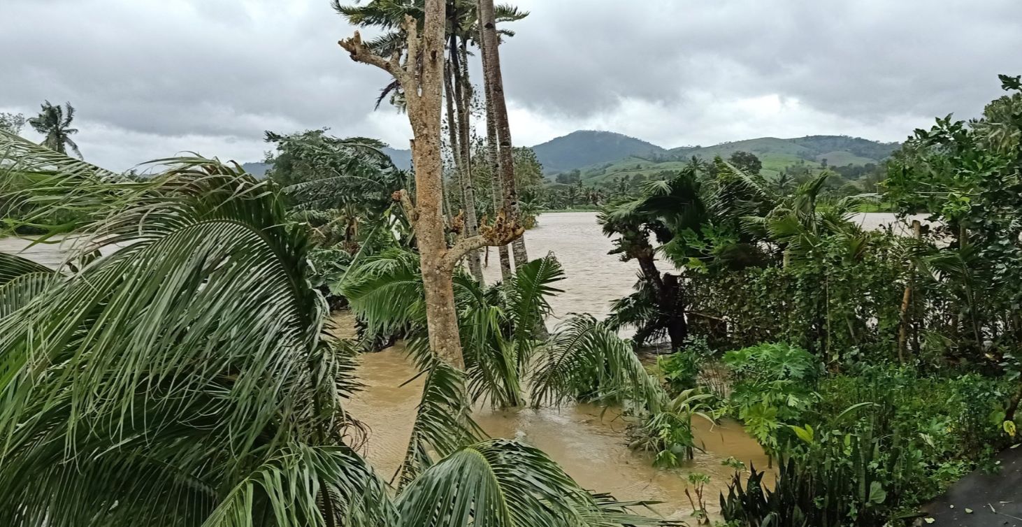 typhoon-phanfone-ursula-agricultural-damage-ph-dec-29-2019-3