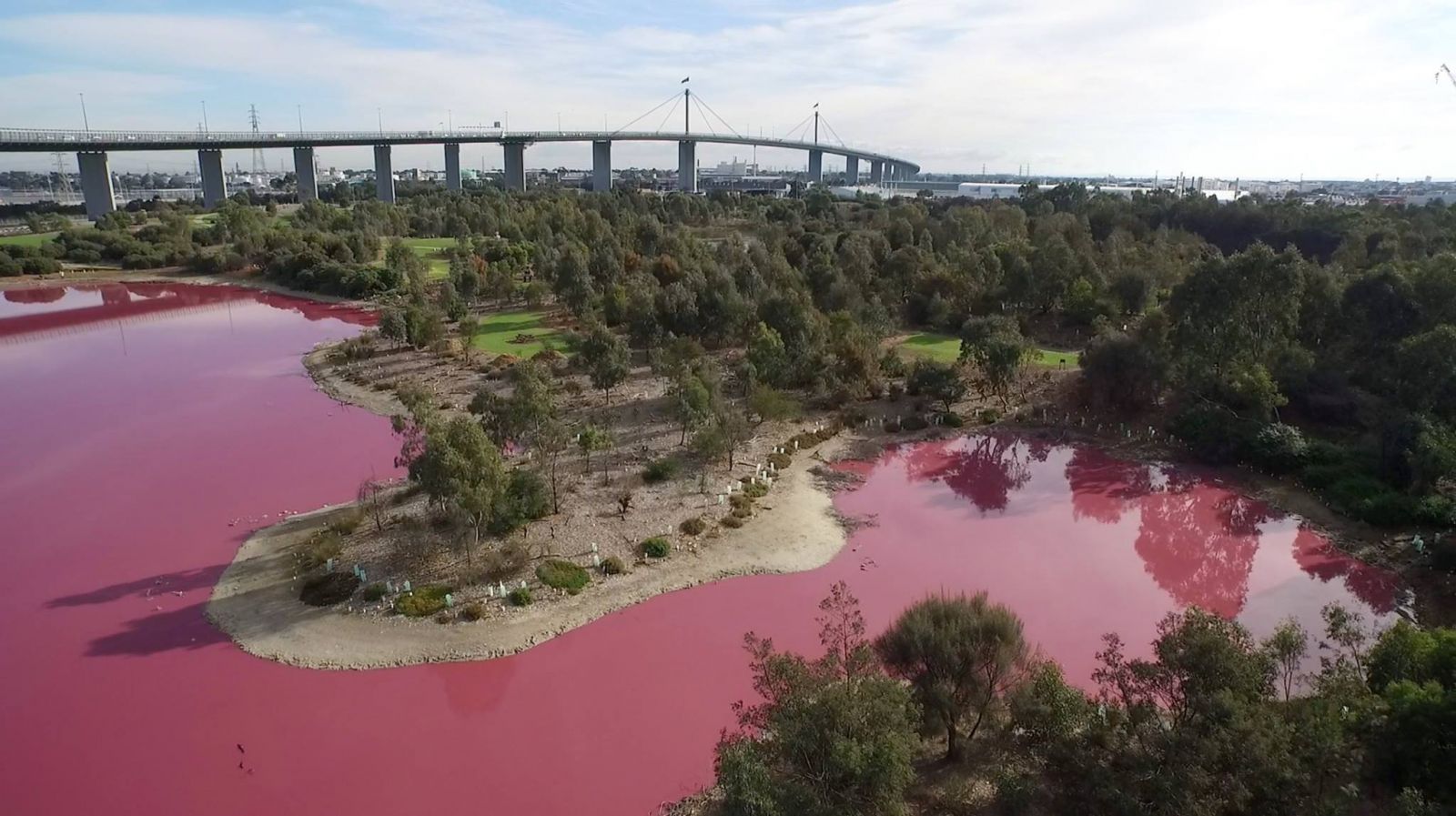 Australian lake turns pink - March 2017